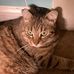 Patrick Miller - Facebook