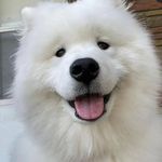 Patrick Milton - @capt_pat18839920 - Instagram