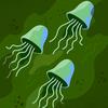 jelly-tec - @patrickmintz8 - TikTok
