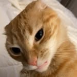 Pat - @patrick_mohan12 - Instagram