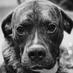 Patrick Molinari - @txpattymelt - Instagram