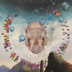 Patrick Molyneaux - @pcrck - Instagram