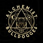 Patrick More - @alchemist_bulldogges_ - Instagram