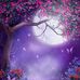 Patrick Moree - Facebook