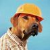 Patrick Moretti - Facebook