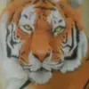 patrickmoretti73 - @patrickmoretti73 - TikTok