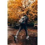 Patrick Mortimer - @pattimetickcam - Instagram