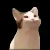 Patrick - @patrickmraz253 - TikTok