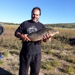Patrick Muir - @patto_muir - Instagram
