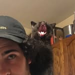 Patrick Muir - @muirmzy - Instagram