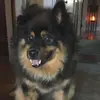 patrickmulcare - @patrickmulcare - TikTok