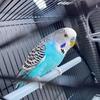 Patrick Mullan - @patrick.mullan - TikTok