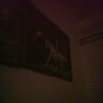 shaun patrick munday - @shaunpatrickmunday - Instagram
