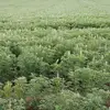 Patrick Mungai480 - @patremungai - TikTok