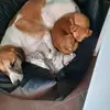 Patrick Muntz - @patrick.muntz - TikTok