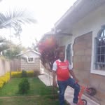Patrick Murithi - @patrick.murithi.167 - Instagram