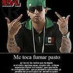 @patrick_murillo - Instagram