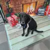 Patrick Murray - @patrick.murray7 - TikTok