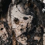 @patrickmurray__ - Instagram