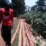 Patrick Muturi - @patrick.muturi.528 - Instagram