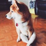 Patrick Li - @patrick_muzi - Instagram