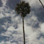 Patrick Mwamba - @mwamba1207 - Instagram