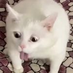 Patrick Myers - @_patrick_myers_ - Instagram