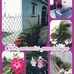 Patrick Navin - Facebook