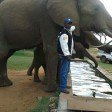 Patrick Ndungu - @patrick.ndungu - Instagram