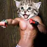 Patrick Noblet - @patricknoblet - TikTok