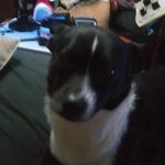Patrick Neff - @neff.patrick - Instagram