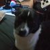 Patrick Neff - Facebook
