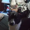patrickneff619 - @patrickneff619 - TikTok