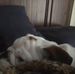 Patrick Nesbitt - Facebook