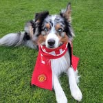 Patrick Nessmann - @patrick_nessmann - Instagram