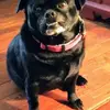 Patrick Newton - @patrick.newton8 - TikTok