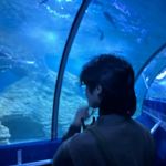 Phát Quang - @patrick_ngooo - Instagram