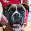 Patrick Naber - @rico_the_boxer - TikTok