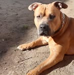 Patrick Nilles - Facebook