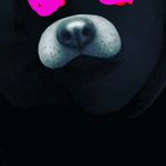 Patrick Skrove Nilsen - @patrickskrove04 - Instagram