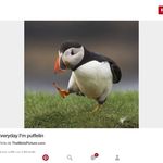 Patrick Noël - @patrick.pierre.marie.noel - Instagram