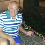 Patrick Nolan - @patricknolan007 - Instagram
