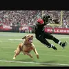 Patrick  - @patrick.nolan - TikTok