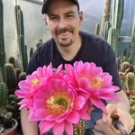 Patrick Noll - @cactusjerk - Instagram
