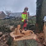 Patrick Nolte - @der_mux - Instagram
