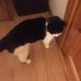 Patrick Normoyle - Facebook