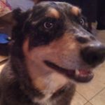 Patrick Normoyle - @normsation - Instagram