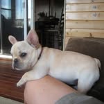 John Patrick Northrup - @jpn43mom - Instagram