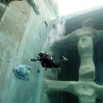Patrick Nowak - @patrick.nowak.73 - Instagram