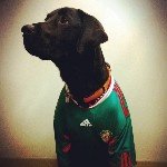 Patrick Schlee Ojeda - @whatisaschlee - Instagram